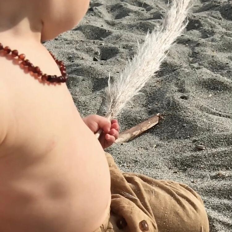 L&rsquo; Apprenti sage